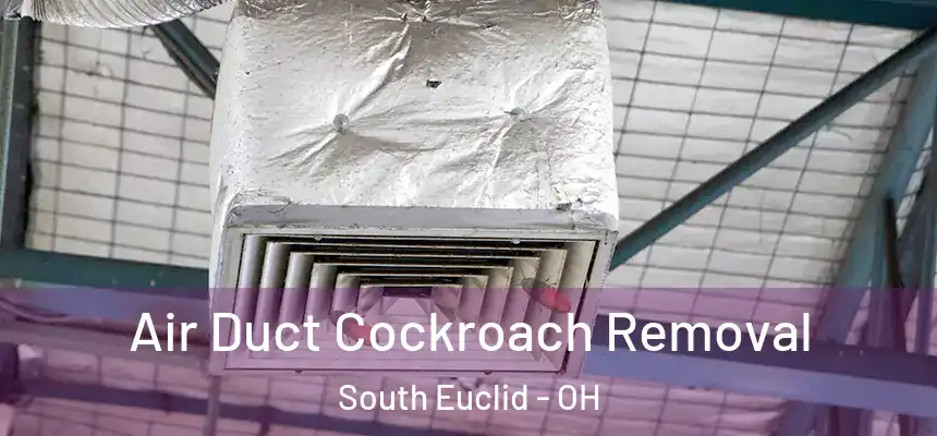  Air Duct Cockroach Removal South Euclid - OH
