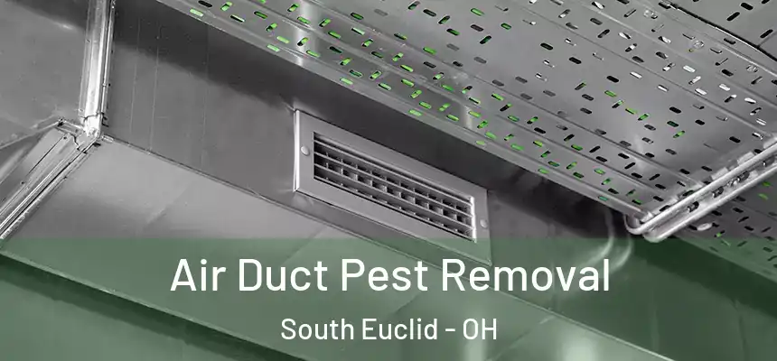 Air Duct Pest Removal South Euclid - OH