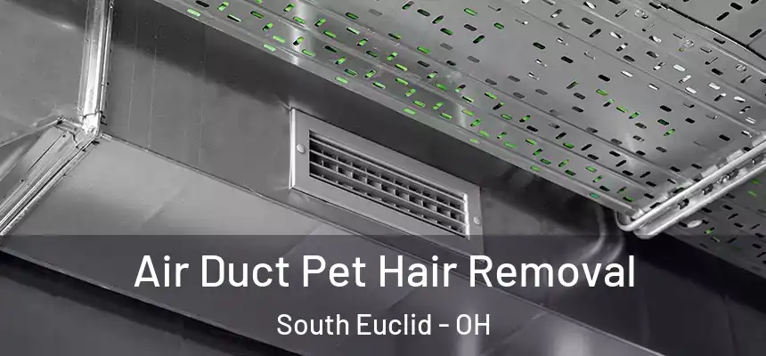  Air Duct Pet Hair Removal South Euclid - OH