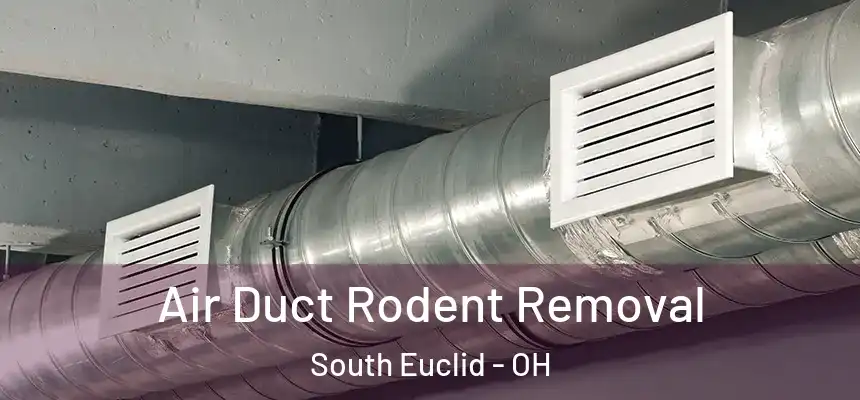  Air Duct Rodent Removal South Euclid - OH