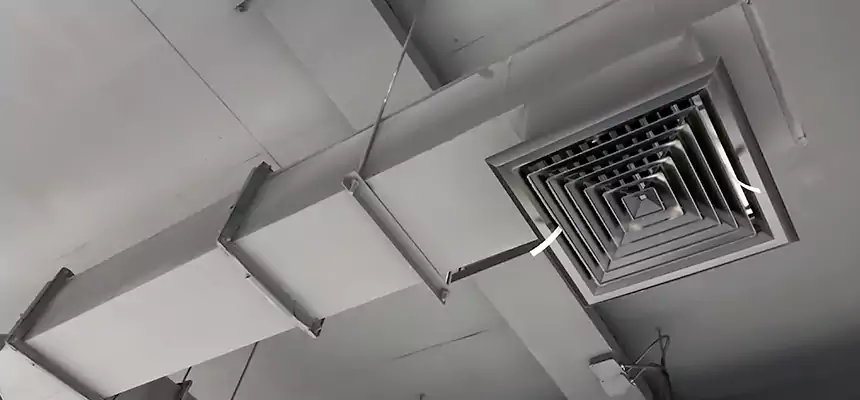 Our Rodent Droppings In Vents Services in South Euclid, OH