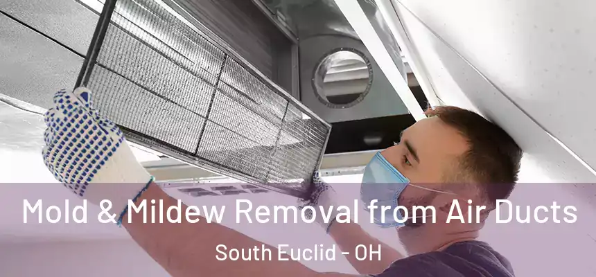 Mold & Mildew Removal from Air Ducts South Euclid - OH