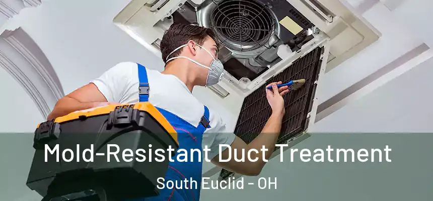 Mold-Resistant Duct Treatment South Euclid - OH