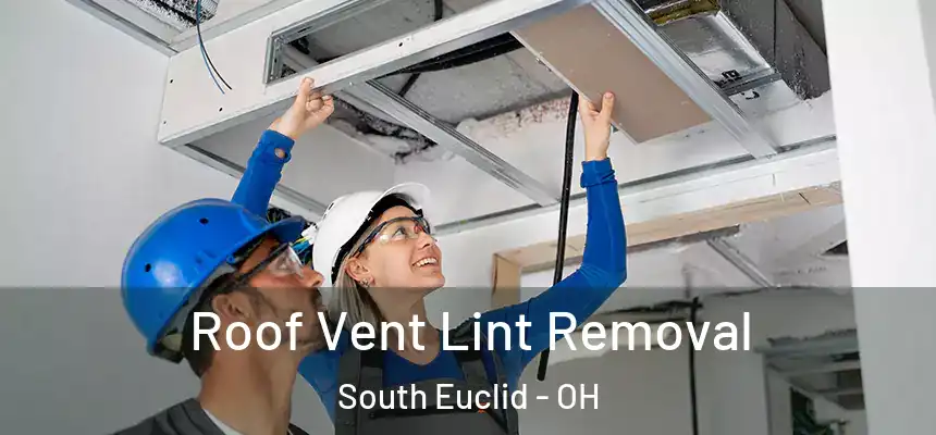  Roof Vent Lint Removal South Euclid - OH