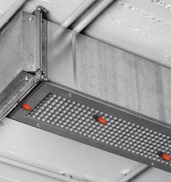 Affordable Insect Removal from Air Ducts in South Euclid, OH