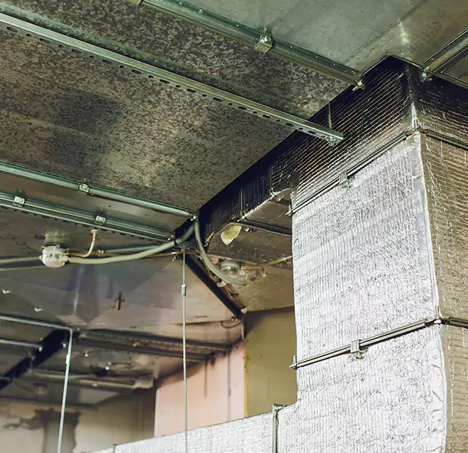 Why Homeowners & Businesses Trust Us in South Euclid, OH?